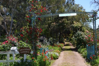Amandas-Garden-Entrance